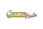 Camel